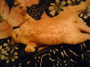 DSC00064