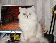 DSC 0086