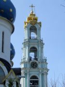 DSCF8522
