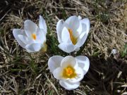 DSCF8525