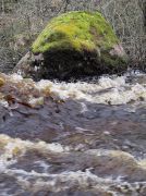 IMG 0421-