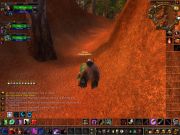 WoWScrnShot 050410 210342