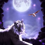 folkvangar fanta bg vol3 06