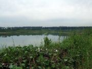 DSCF0018