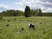 IMG 8772-