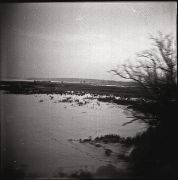 Untitled-6