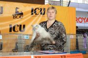 IMG 7096