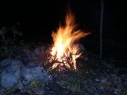 PIC 0065
