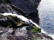 DSCF1567