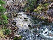 DSCF1572