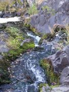 DSCF1578