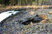 IMG 7186