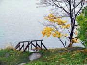 DSCF1646