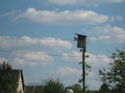 IMG 5690
