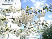 DSC00111