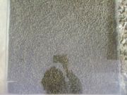 DSCF3705