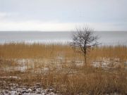 IMG 3624-00