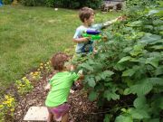 ���� ������:)