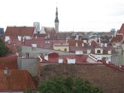 IMG 6086