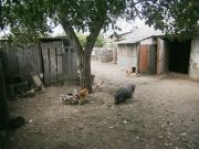 ���� ������ � ��������:)