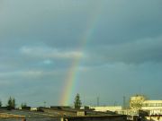 raduga 27.11.2012 2
