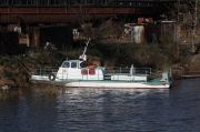 IMG 7422