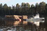 IMG 7938