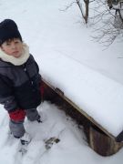 IMG 0500