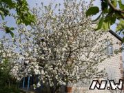 img 120201063823