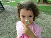 IMG 9626