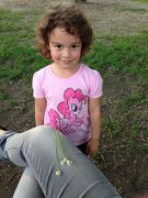 IMG 9628