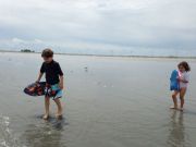 IMG 9871