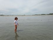 IMG 9878