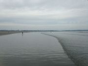 IMG 9908