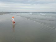 IMG 9966