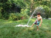 IMG 0058