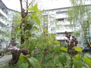 DSC08890