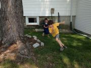 IMG 6631