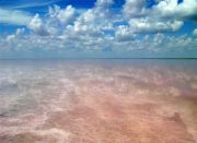 Elton salt lake