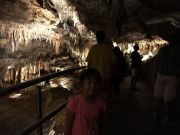 IMG 0535