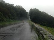 IMG 9658