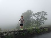 IMG 9664
