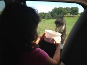 IMG 9858