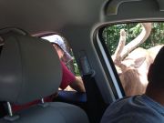 IMG 9871