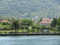 IMG 4745  - - 2008