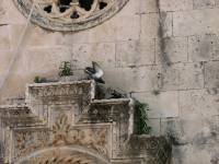 IMG 4758  - - 2008