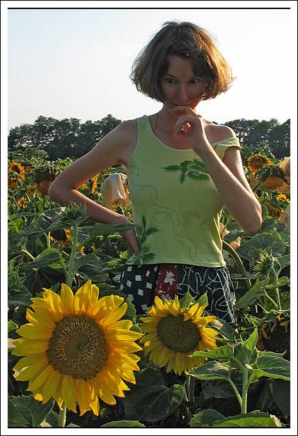 �������� �����