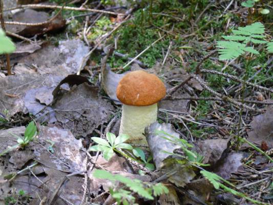 ��� ������.