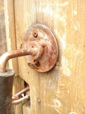 ����������.