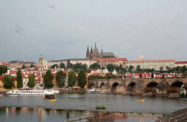 �������� ����